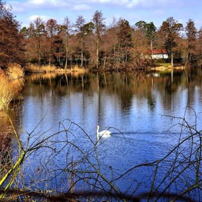 Unser See